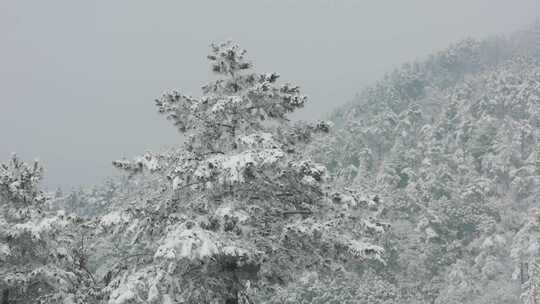 雪覆山林冬日景象