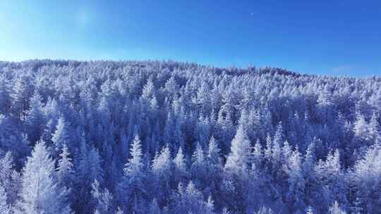 航拍大兴安岭冬季森林林海雪原