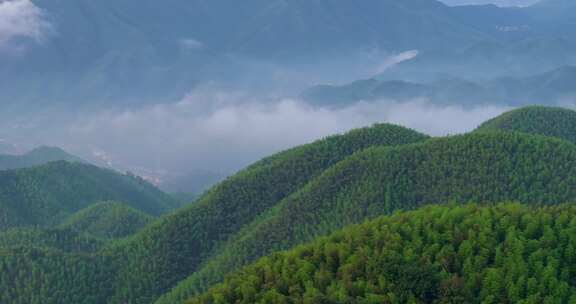 高山竹海云雾云海航拍杭州余杭百丈