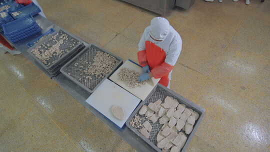 海参加工生产线工人在流水线上处理海鲜制品