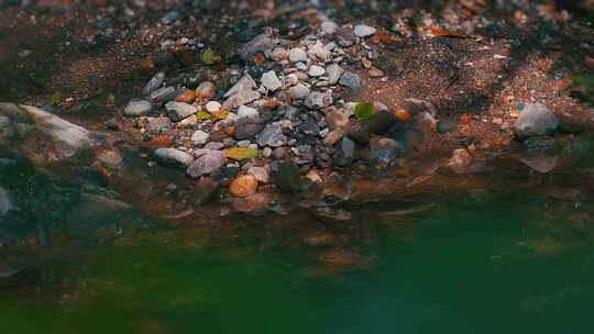 森林里的小溪流水光影石头
