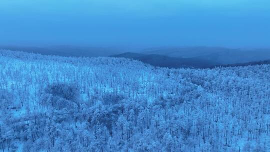 航拍大兴安岭黎明林海雪原