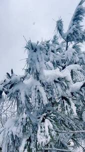 和喜欢的人看雪景是一件浪漫且幸福的事