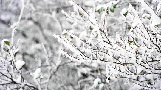 雪山雾凇雪凇雪景合集4K