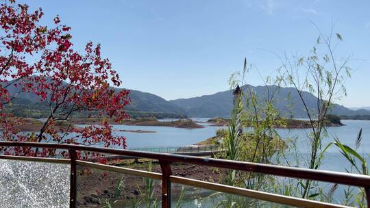 杭州千岛湖岛屿风景区  4k