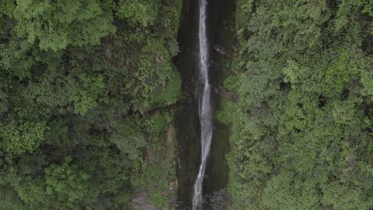 山间溪流瀑布峡谷丛林自然户外水流航拍