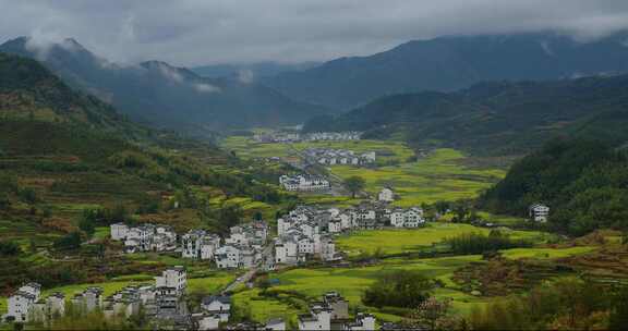 春天婺源山村油菜花盛开【延时】