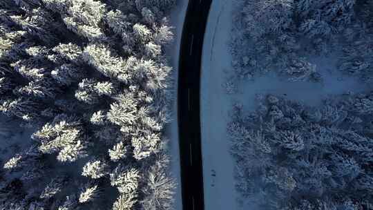 4k风景航拍冬天森林公路