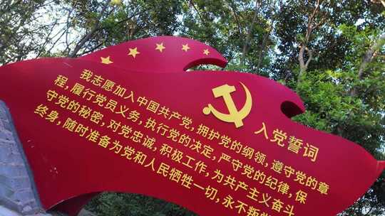 入党宣誓党建红色旗帜