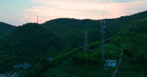 夕阳黄昏山里茶园