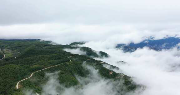 山云雾生态大自然晨雾山川林雾航拍