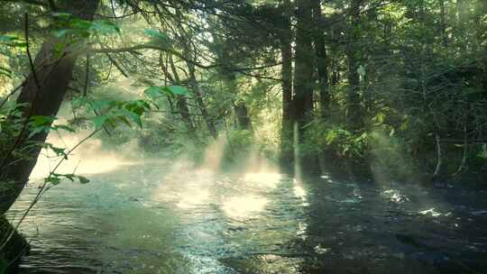 阳光透过树木照射在河流上