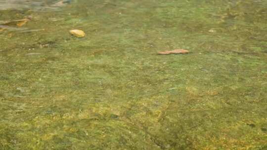 河边流水河流河水小溪山泉泉水流体液体水流