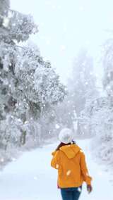 39K竖版唯美飞雪拉升镜头背景视频高清AE视频素材下载