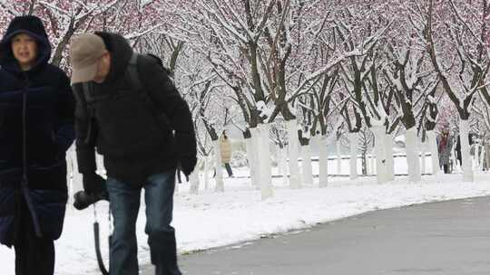 龙年春节汉中春雪