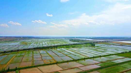 黄河平原川区灌溉粮食农业灌区