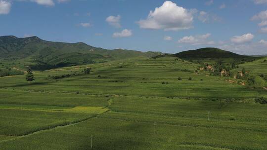 航拍山区梯田改造