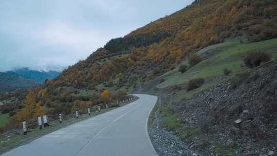 道路，丘陵，驾驶，树木