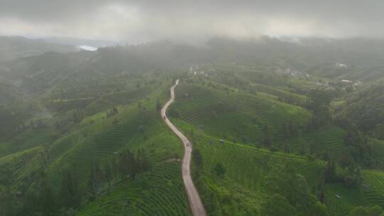 航拍茶山