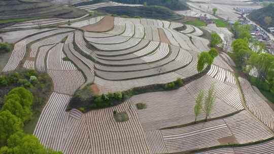 宝鸡梯田  汉封梯田