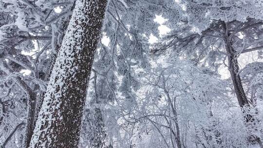 安徽黄山风景区冬季冬雪航拍