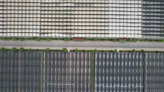 现代农业大棚种植基地航拍