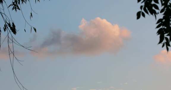 纯净天空中鲸鱼形状的美丽云朵缓慢移动