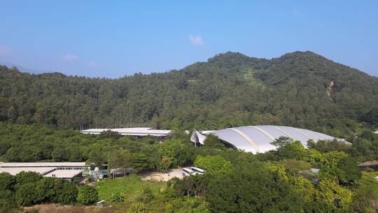 百岁山 景田实业集团 景田百岁山