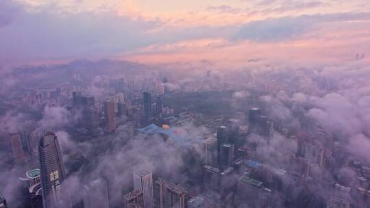 深圳城市风景