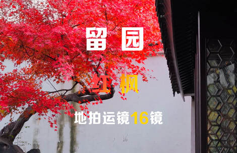 苏州留园红枫拍摄运镜16镜组合