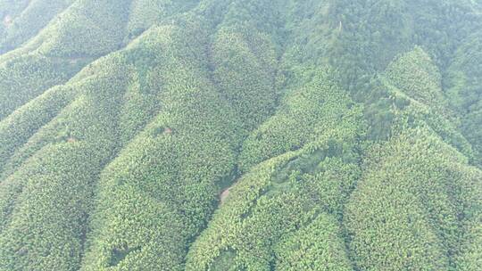 航拍祖国大好河山青山绿水