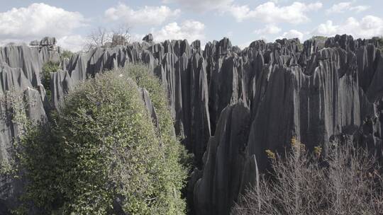 云南昆明石林风景区喀斯特溶岩地貌风光航拍视频素材模板下载