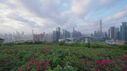 深圳福田中轴线城市景观