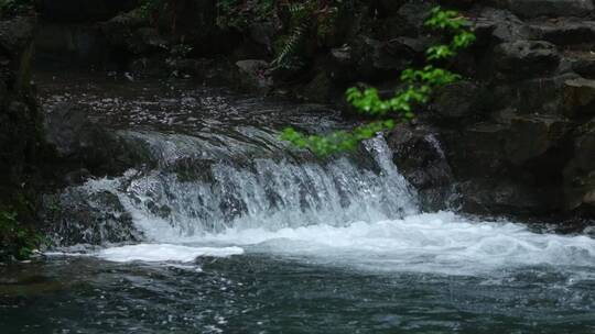 杭州云溪竹径春雨溪流升格视频