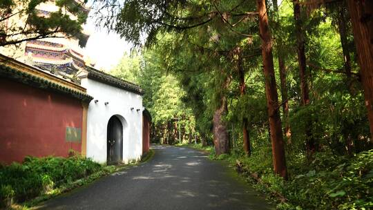 杭州临安西天目山禅源寺