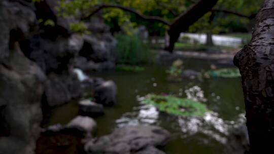 杭州萧山江寺公园江南古典园林4K视频素材