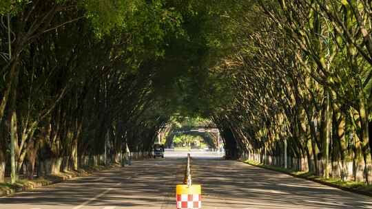 中缅边境镇康县城南伞道路车流延时03