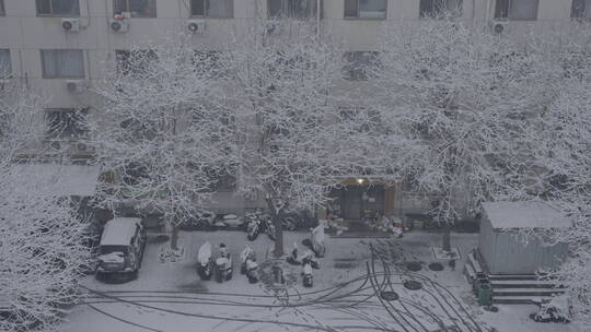 城市雪景 冬天下雪