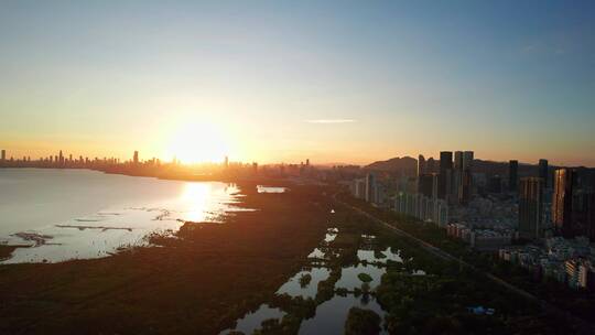 广东深圳湾红树林湿地日落逆光航拍素材