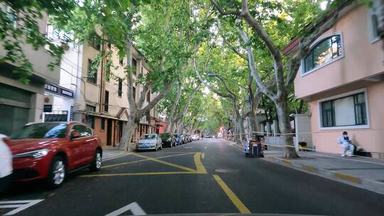 上海封城中的绿荫公路街道
