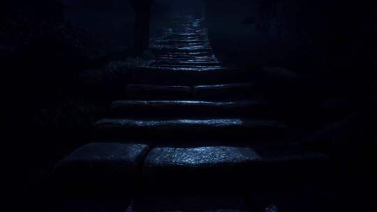 夜晚幽静石板小路