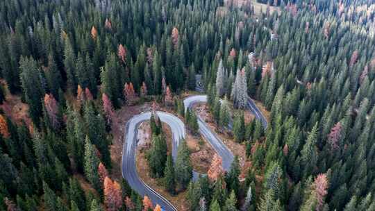 森林山地盘山公路