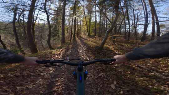 Pov、电动自行车、山地自行车、Emtb