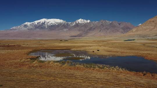 慕士塔格峰下的新疆帕米尔高原塔合曼乡湿地