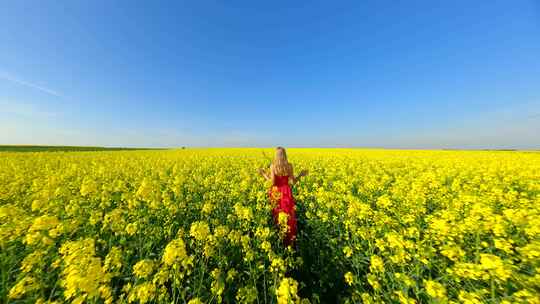 白人妇女慢动作穿过风景优美的黄色油菜籽田