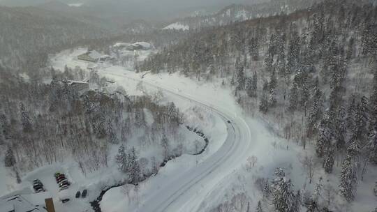 日本北海道大雪山国家公园森林公路视频素材模板下载