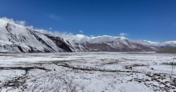 新疆帕米尔高原雪山山脚下牦牛成群