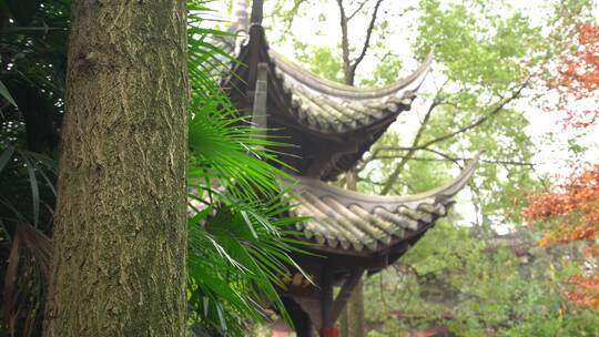 实拍眉山三苏祠空镜素材