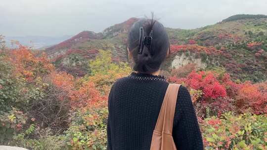 山东淄博博山柿岩古村，秋季满山红叶景观