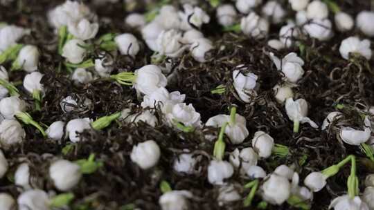 升格慢动作微距特写茉莉花与茉莉花茶制作